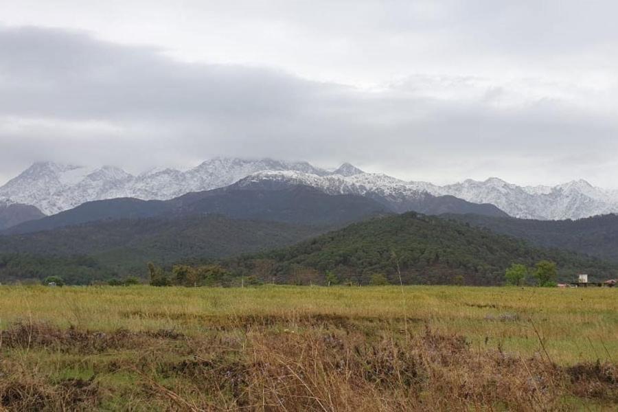 Nagri Resort Pālampur Kültér fotó