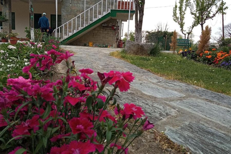 Nagri Resort Pālampur Kültér fotó