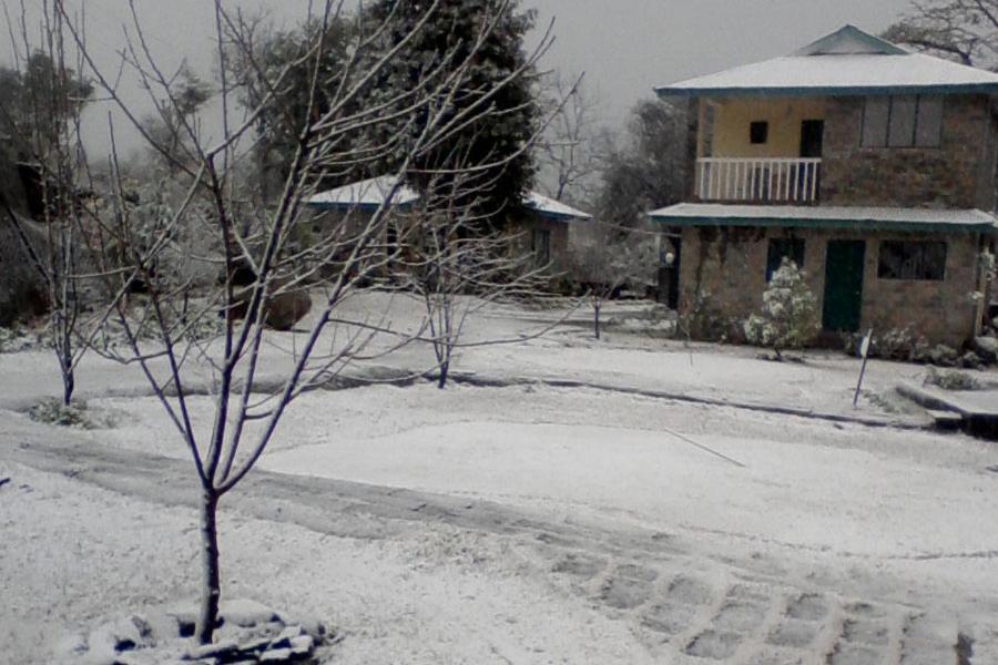 Nagri Resort Pālampur Kültér fotó