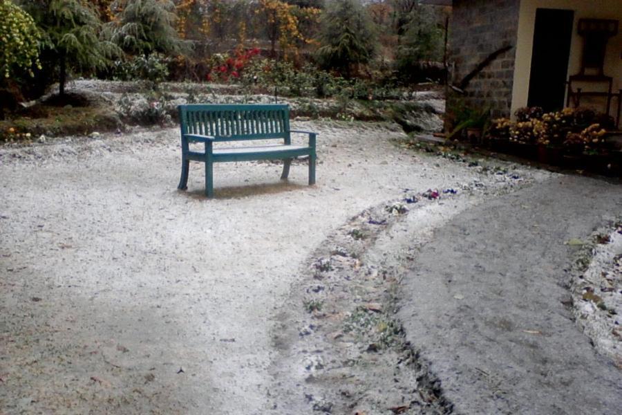 Nagri Resort Pālampur Kültér fotó