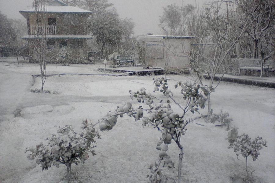 Nagri Resort Pālampur Kültér fotó