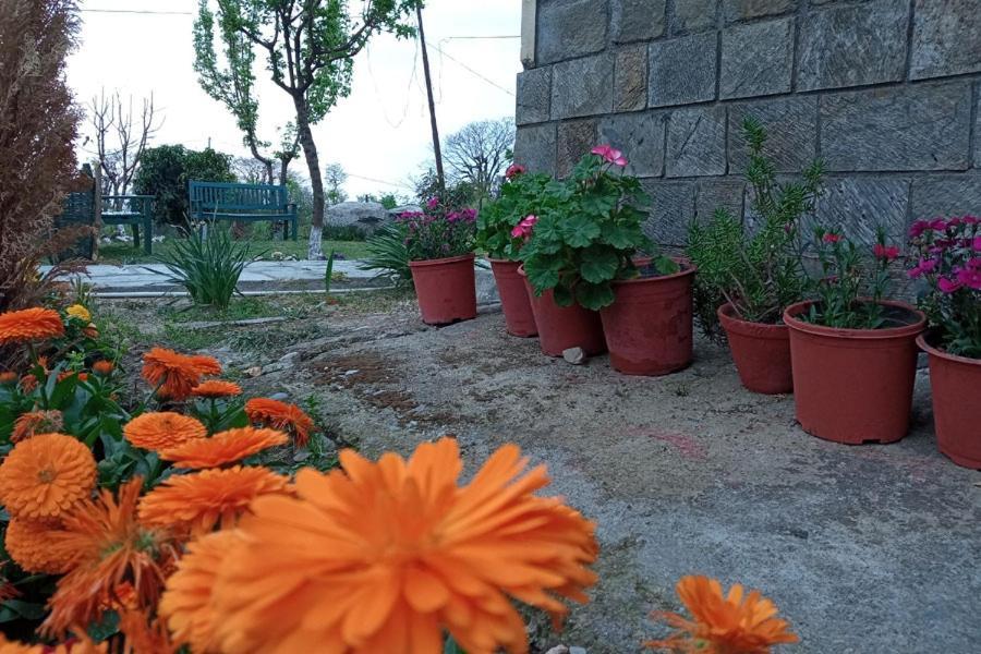 Nagri Resort Pālampur Kültér fotó