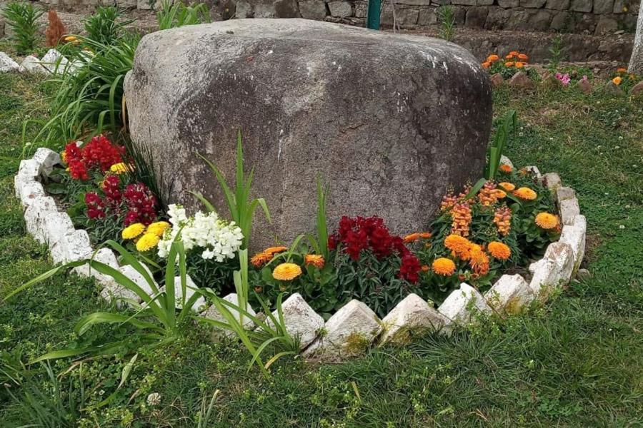 Nagri Resort Pālampur Kültér fotó
